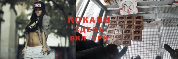 герыч Алексин