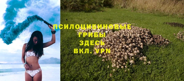 индика Алзамай