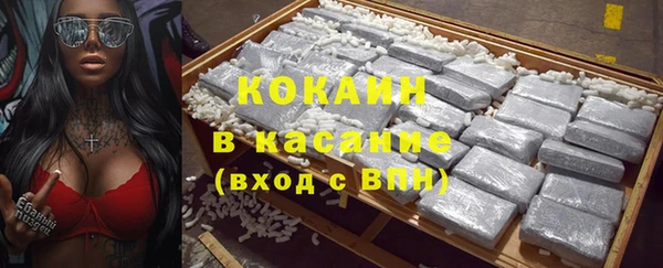 индика Алзамай