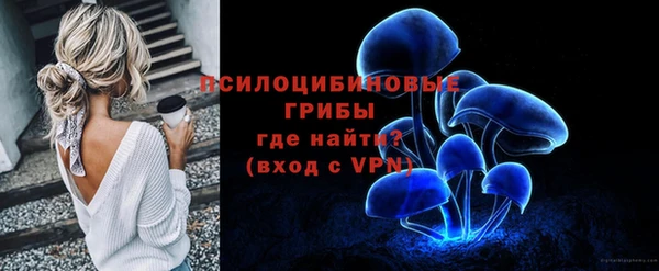 герыч Алексин